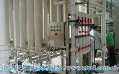 ���D������y